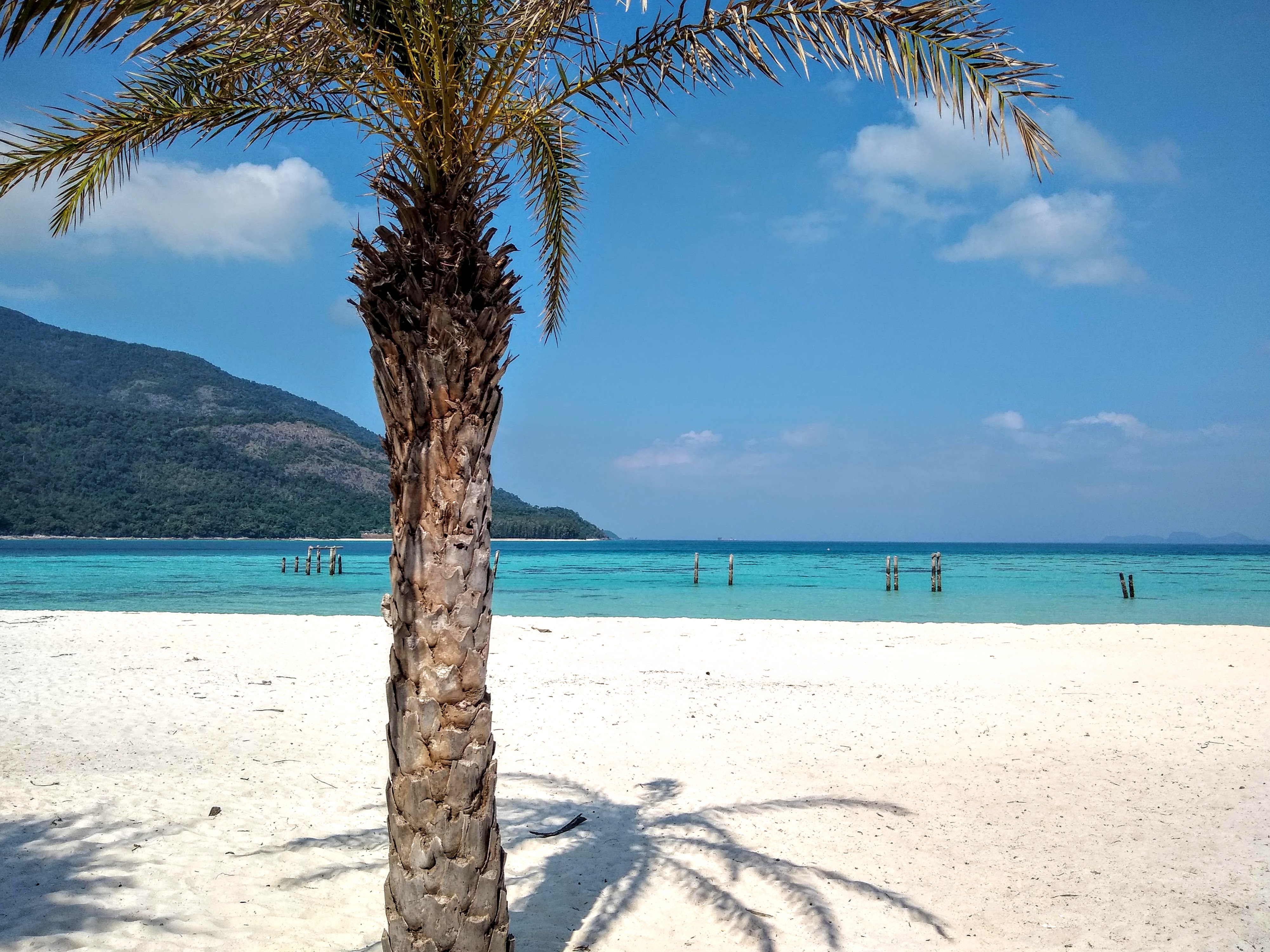What My Clients Say Secluded beaches - What My Clients Say
