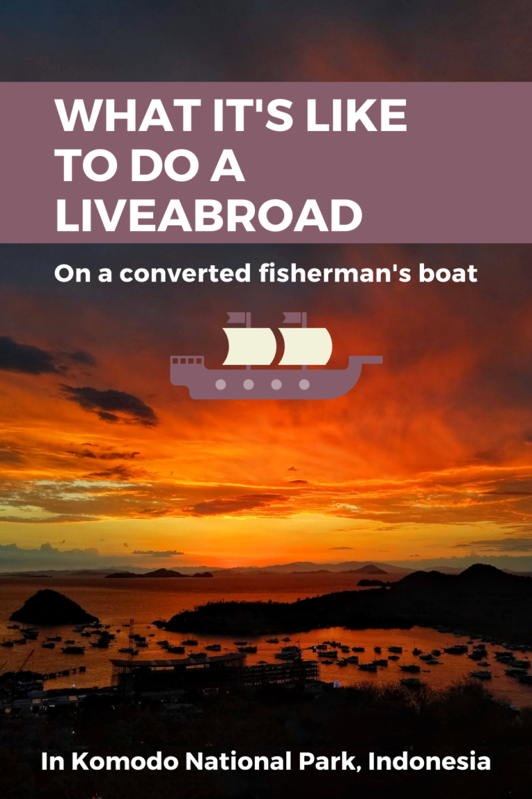 Visiting Komodo National Park what its like to do a liveabroad 768x1152 - Visiting Komodo National Park