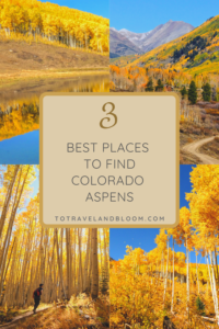 3 Best Places to Find Aspens 200x300 - 3 Best Places to Find Aspens