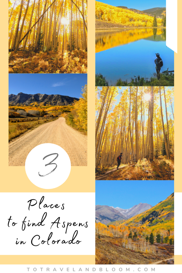 3 Best Places for Fall Colors in Crested Butte, Colorado 3 Places to See Aspens in Colorado 768x1152 - 3 Best Places for Fall Colors in Crested Butte, Colorado