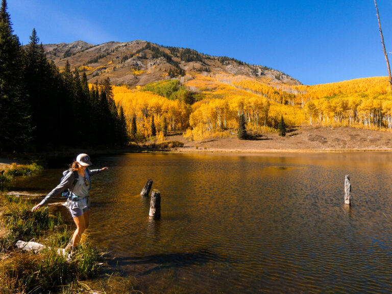 3 Best Places for Fall Colors in Crested Butte, Colorado Beaver Pond 768x576 - 3 Best Places for Fall Colors in Crested Butte, Colorado