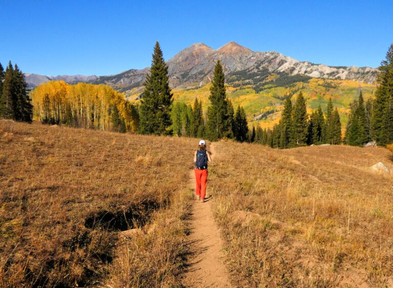 3 Best Places for Fall Colors in Crested Butte, Colorado Cliff Creek Trail 768x564 - 3 Best Places for Fall Colors in Crested Butte, Colorado