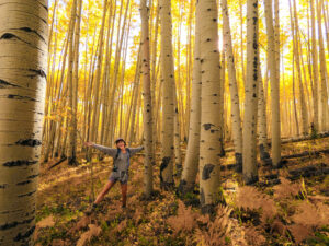 Fun in an Aspen Grove 1 300x225 - Fun in an Aspen Grove