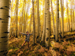 Fun in an Aspen Grove 3 1 300x225 - Fun in an Aspen Grove