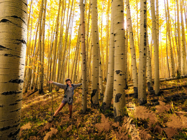 3 Best Places for Fall Colors in Crested Butte, Colorado Fun in an Aspen Grove 3 1 768x576 - 3 Best Places for Fall Colors in Crested Butte, Colorado