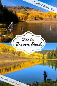 Hike to Beaver Pond 200x300 - Hike to Beaver Pond