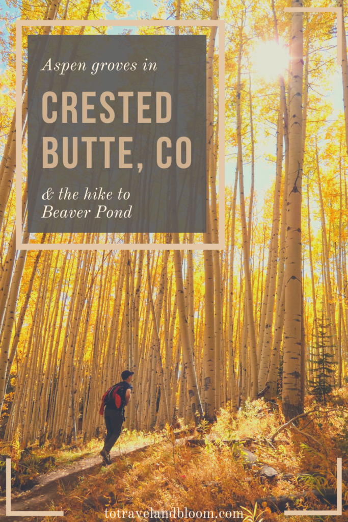 3 Best Places for Fall Colors in Crested Butte, Colorado Hiking in Crested Butte 683x1024 - 3 Best Places for Fall Colors in Crested Butte, Colorado
