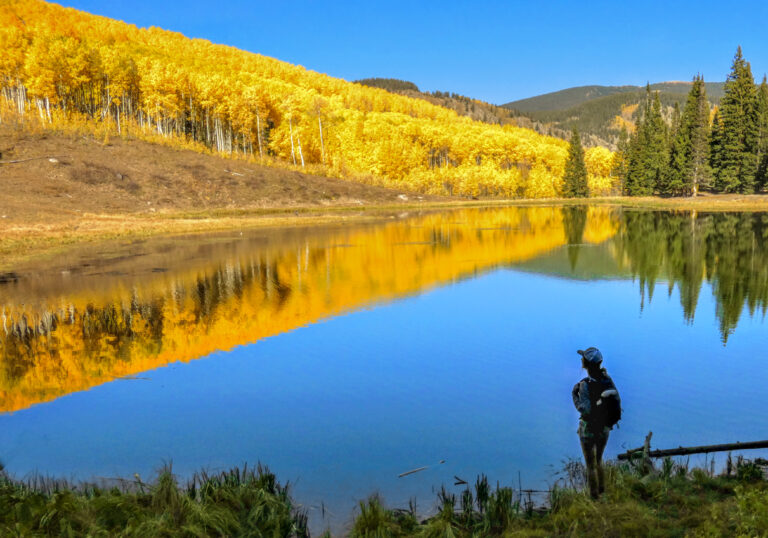 3 Best Places for Fall Colors in Crested Butte, Colorado Looking out over Beaver Pond 2 768x538 - 3 Best Places for Fall Colors in Crested Butte, Colorado