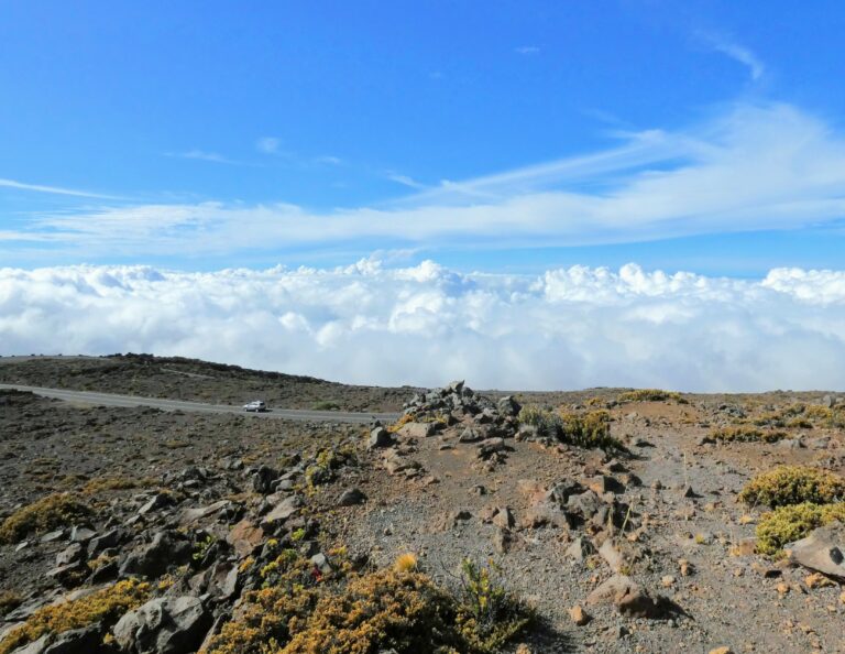 Traveling to Maui during COVID may not be what you expect! Haleakala Driving Through Clouds 768x594 - Traveling to Maui during COVID may not be what you expect!