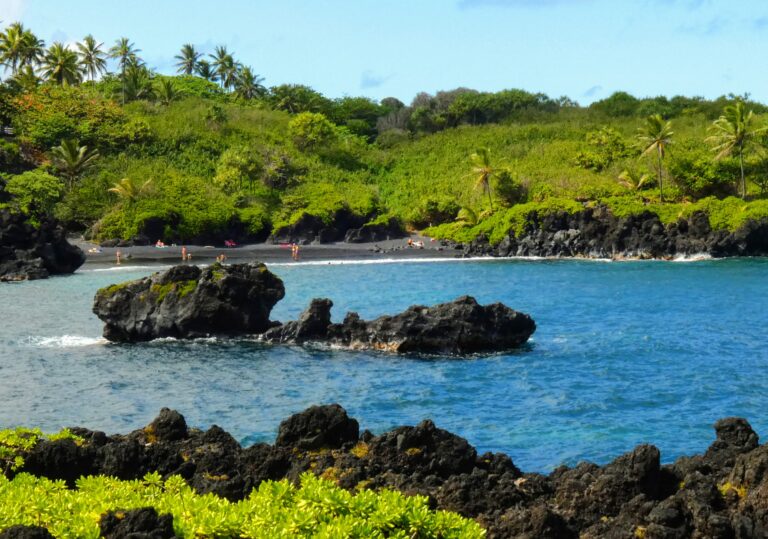 Traveling to Maui during COVID may not be what you expect! Maui Black Sand Beach 768x539 - Traveling to Maui during COVID may not be what you expect!