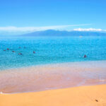 Maui Scuba Divers 3 150x150 - Traveling to Maui during COVID may not be what you expect!
