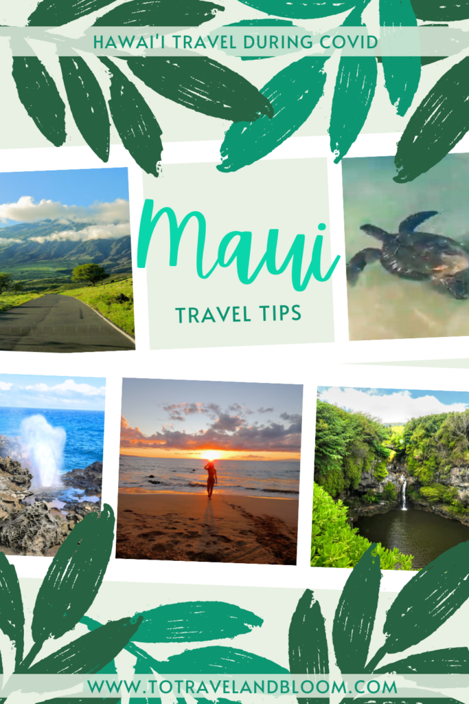 Traveling to Maui during COVID may not be what you expect! Maui Travel Tips 683x1024 - Traveling to Maui during COVID may not be what you expect!
