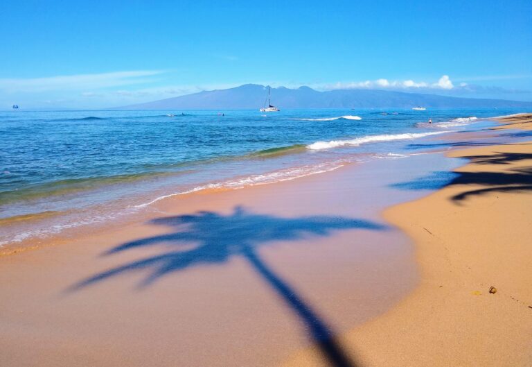 Traveling to Maui during COVID may not be what you expect! Palm Tree Beach Shadow 768x529 - Traveling to Maui during COVID may not be what you expect!