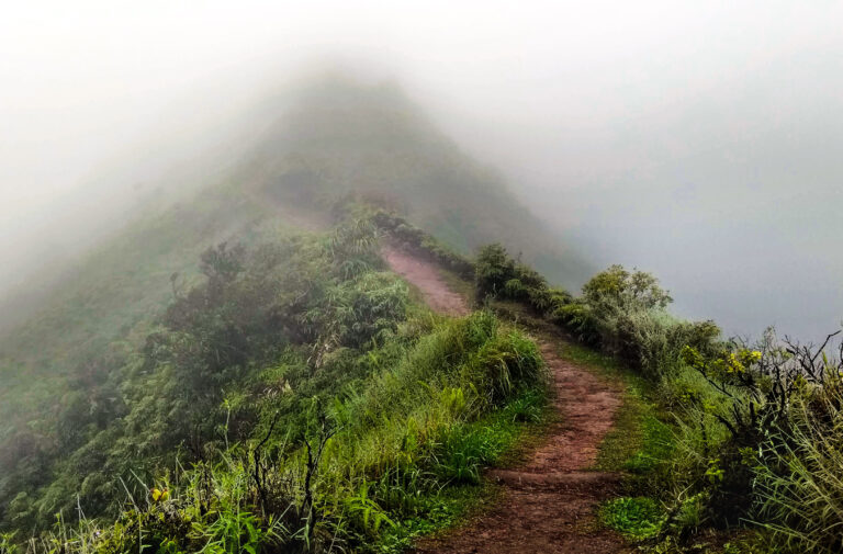 Traveling to Maui during COVID may not be what you expect! Waihee Ridge Trail 1 768x505 - Traveling to Maui during COVID may not be what you expect!