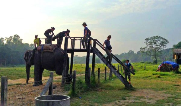 7 Things Not to Miss Out on in Nepal 10710852 10152818299179551 1677001370924041339 n nixjv8t80yhx57e9d9qrmykf36w1t0ui3mledpxx9o - 7 Things Not to Miss Out on in Nepal
