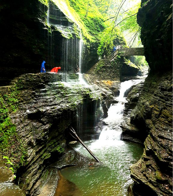Top 4 Things To Do at the Finger Lakes 342685382 10156604569559551 8542685819985461248 n nt5ui5m248i793zhvjuxqsgqwc2n0w78w68uihw17o - Top 4 Things To Do at the Finger Lakes
